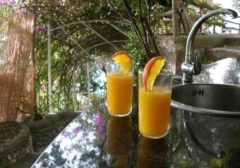 酒店 La Maliosa D  Arienzo