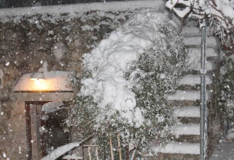 ホテル Le Due Palme