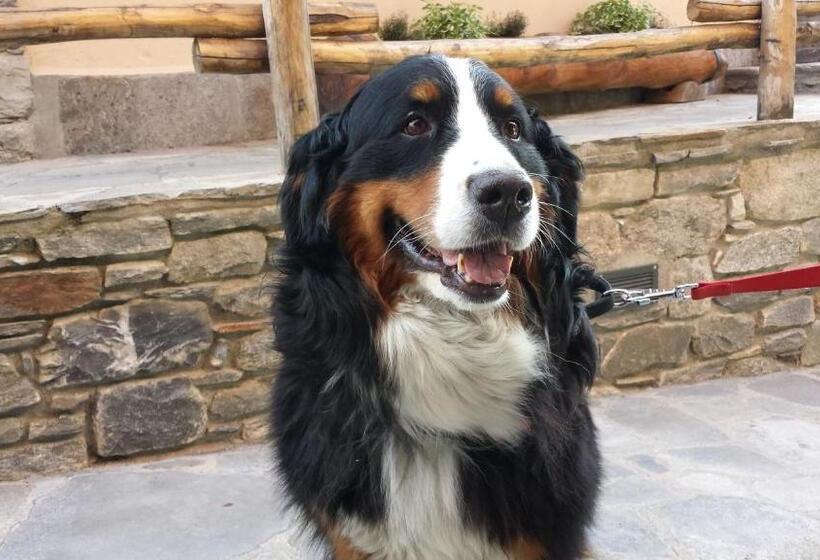 فندق Residence Le Petit Coeur