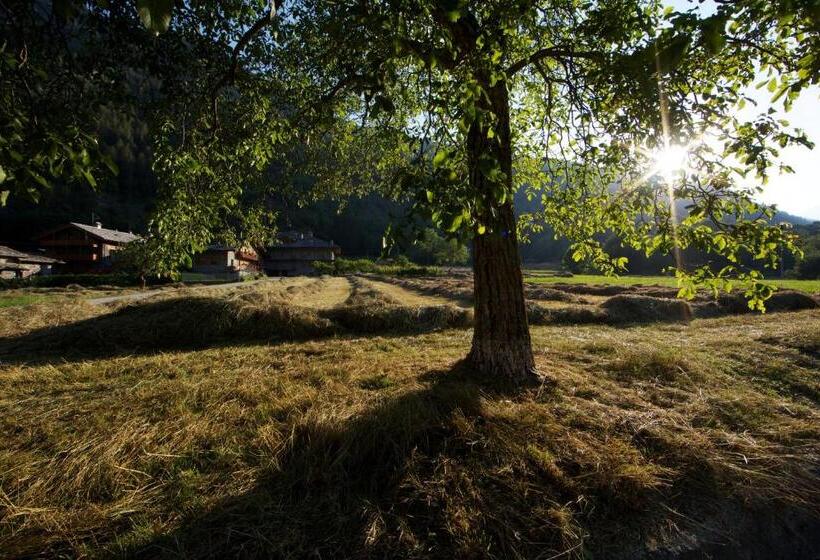 فندق Residence Le Petit Coeur