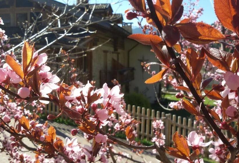 فندق Maso Franceschella