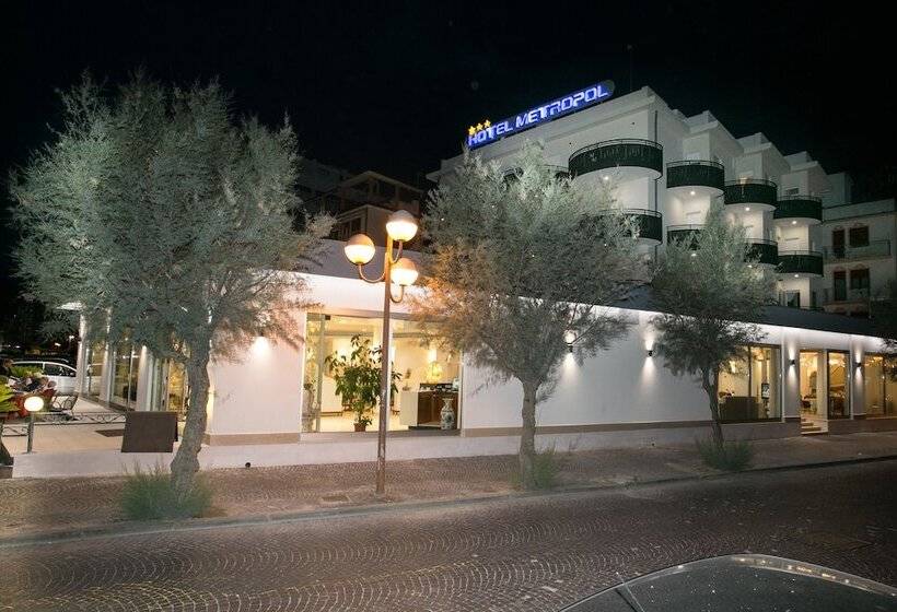 호텔 Metropol