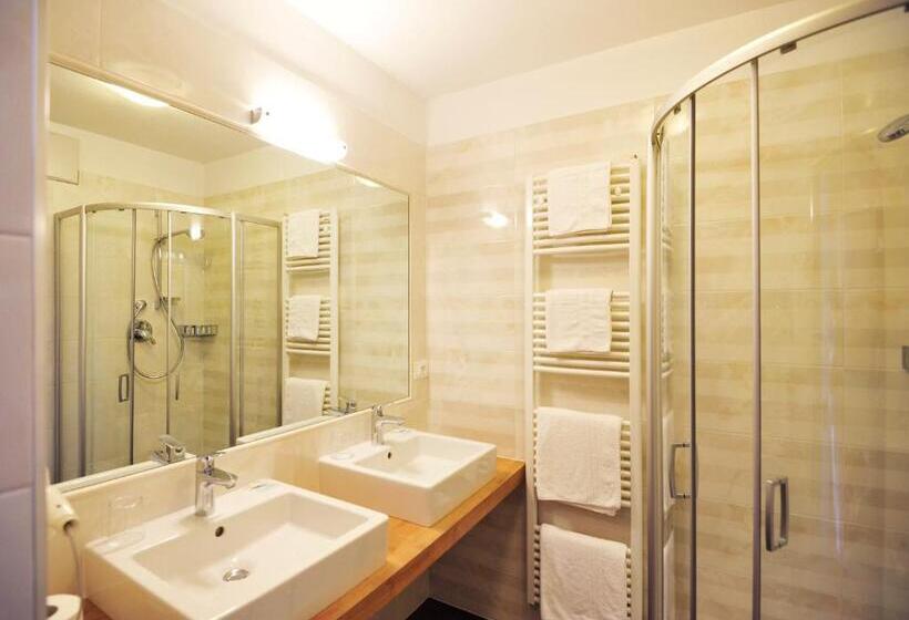 酒店 Mitlechnerhof