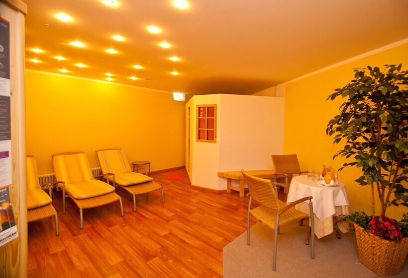 酒店 Mitlechnerhof