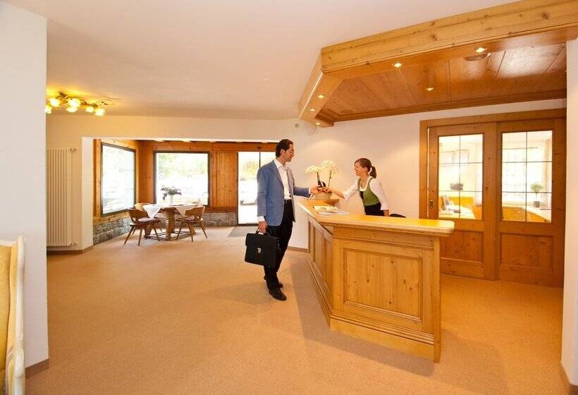 酒店 Mitlechnerhof