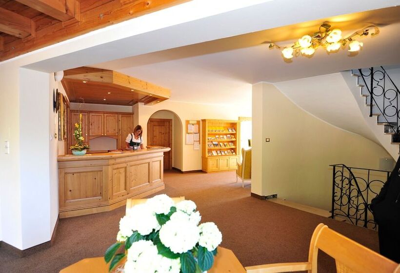 酒店 Mitlechnerhof