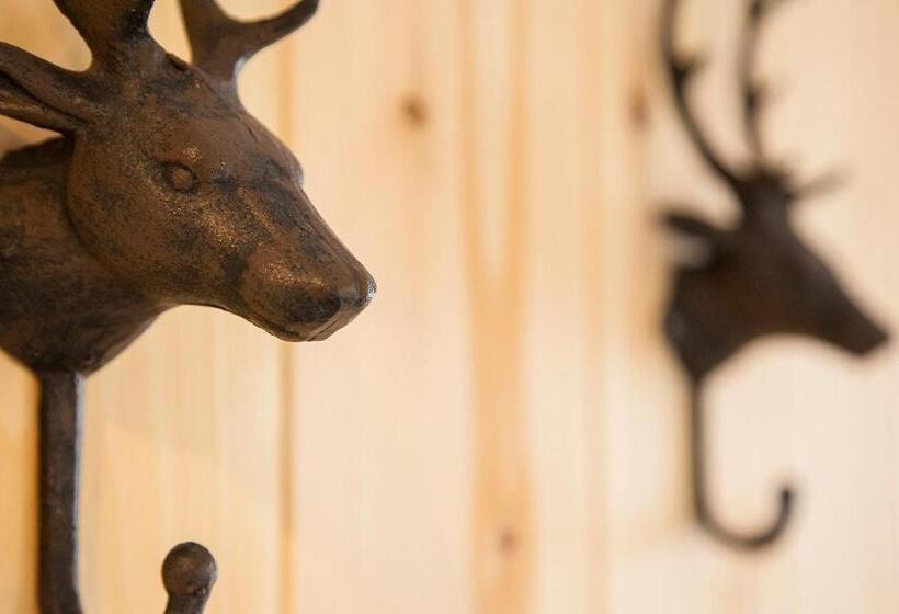 هتل Pension Vitalis