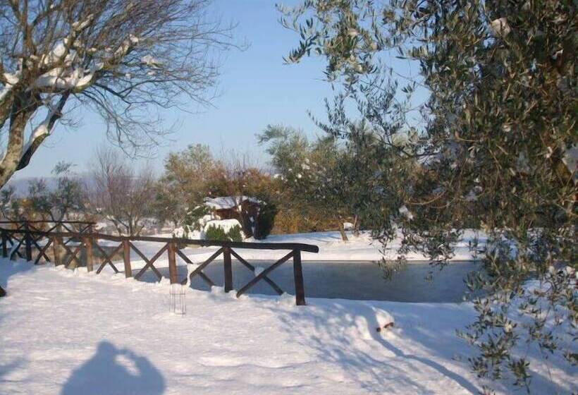 فندق Poggio Agli Ulivi
