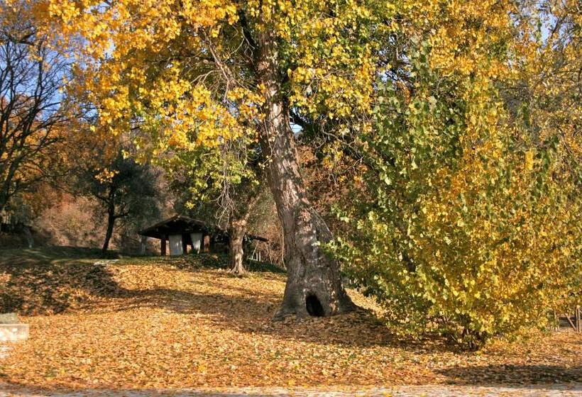 בית מלון כפרי Premignaga Natural Home