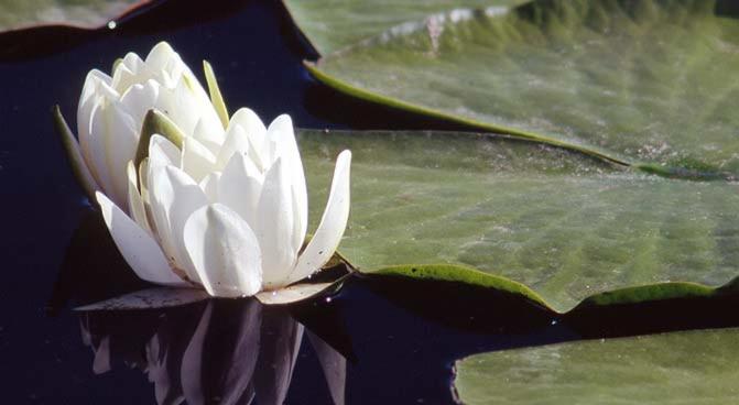 בית מלון כפרי Relais Forti