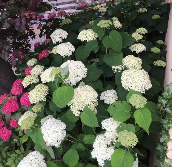 בית מלון כפרי Relais Villa Augusta