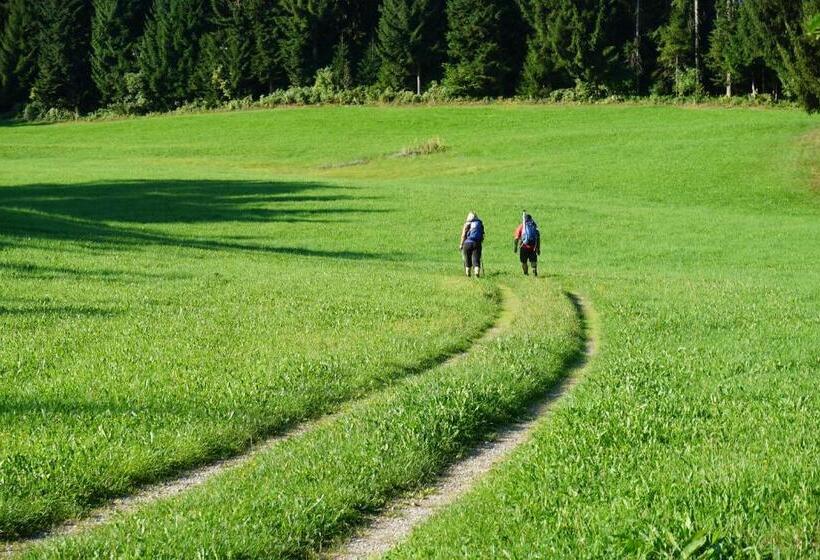 Отель Restaurant Alpha