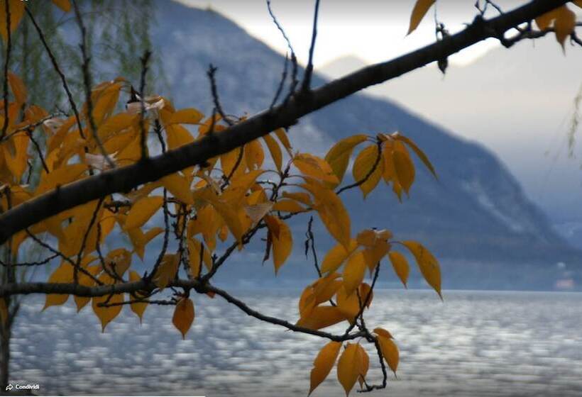 בית מלון כפרי Sole