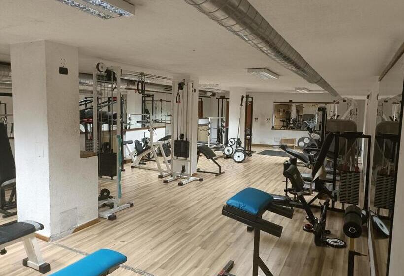 هتل Steinbock B&b  Apartaments