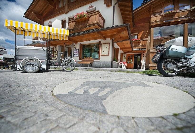 هتل Steinbock B&b  Apartaments