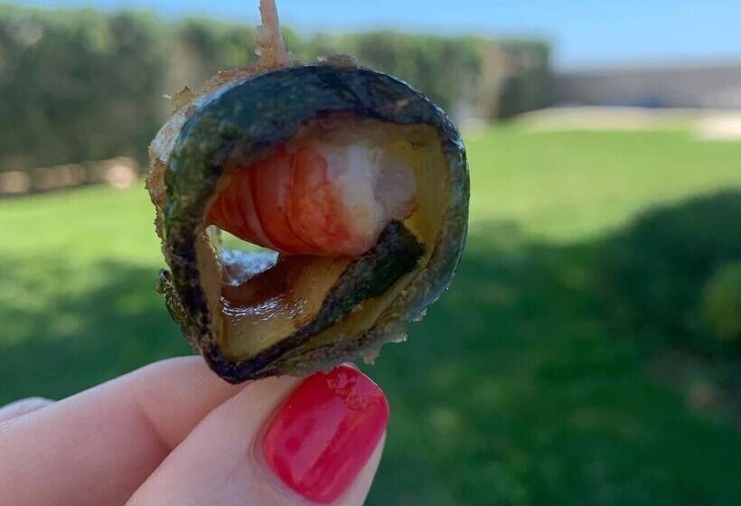 酒店 Suitebeach B&b And Resort