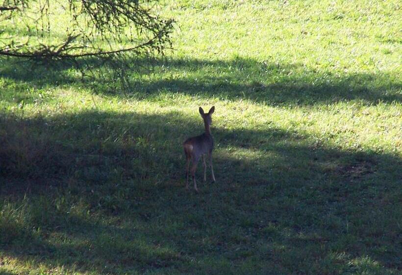 בית מלון כפרי Tana Della Volpe
