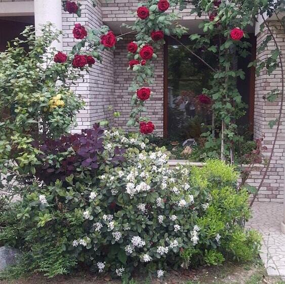 בית מלון כפרי Villa Gioia Rooms