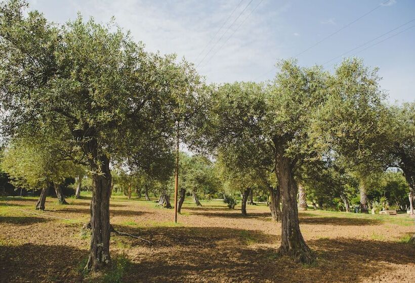 בית מלון כפרי Villa Grazia