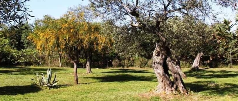 בית מלון כפרי Villa Grazia