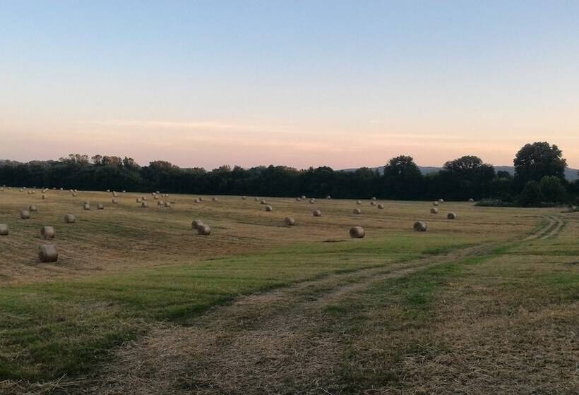 호텔 Villa La Nussa