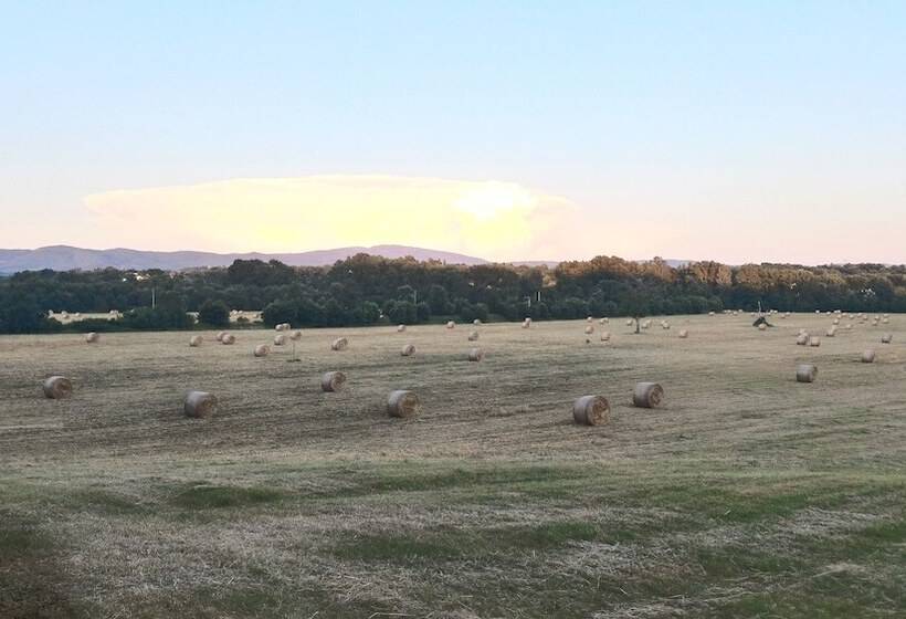 호텔 Villa La Nussa