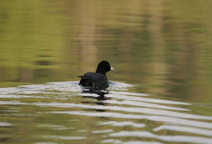 Residence Hotel Miralago
