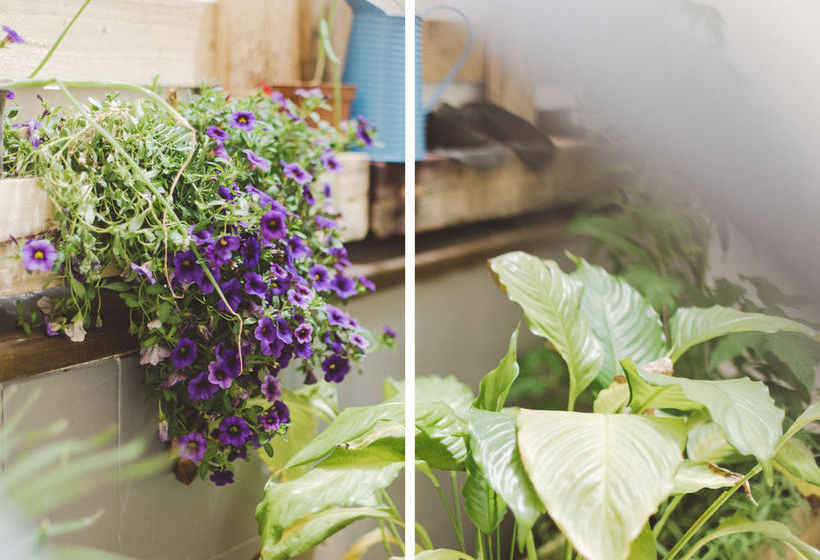 Общежитие El Jostel