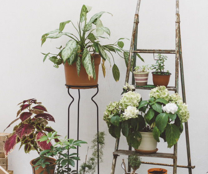 Общежитие El Jostel