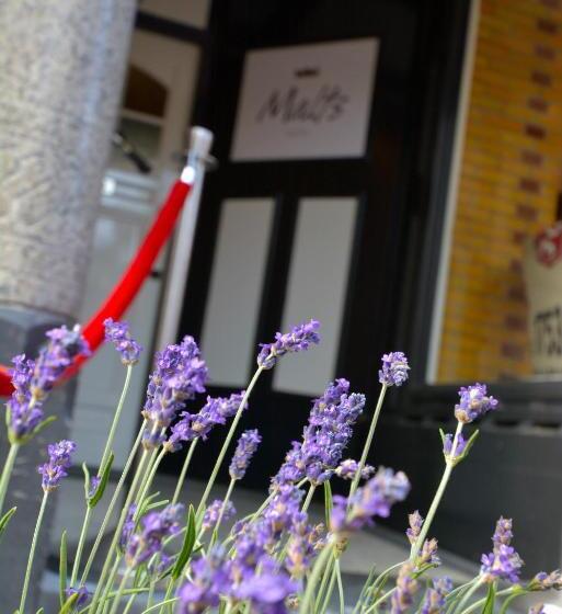 Bed & Breakfast Hotel Malts