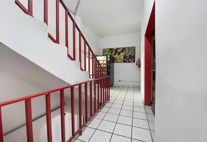 ホテル Adhoc Empresas