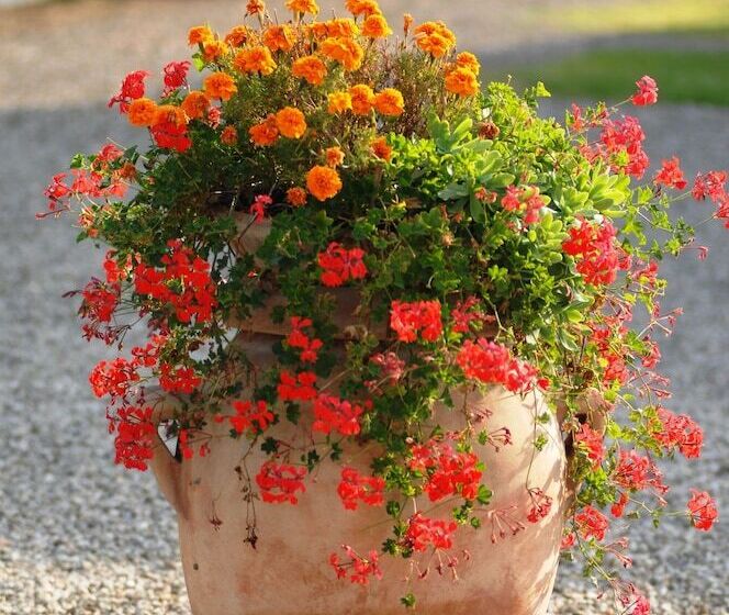 ホテル Agriturismo Bonello