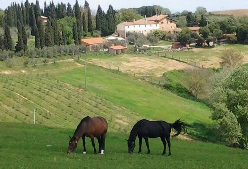 בית מלון כפרי Agriturismo Renello