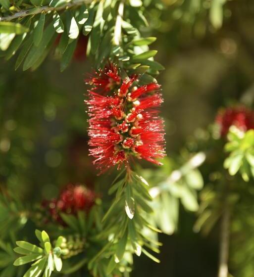 هتل Anchor Down Bed & Breakfast