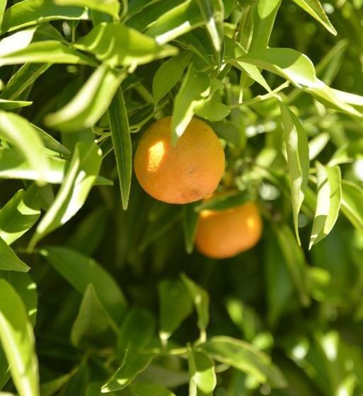 هتل Anchor Down Bed & Breakfast