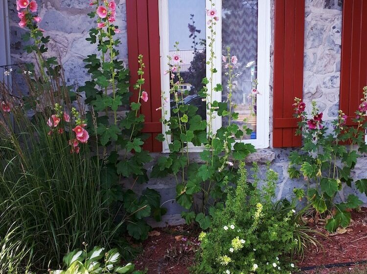 فندق Au Gîte De La Chute