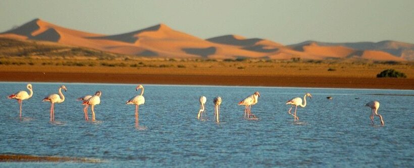 ホテル Auberge Ksar Merzouga