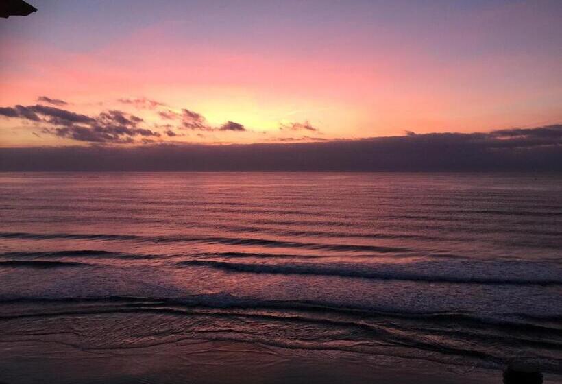 酒店 Badano Sul Mare