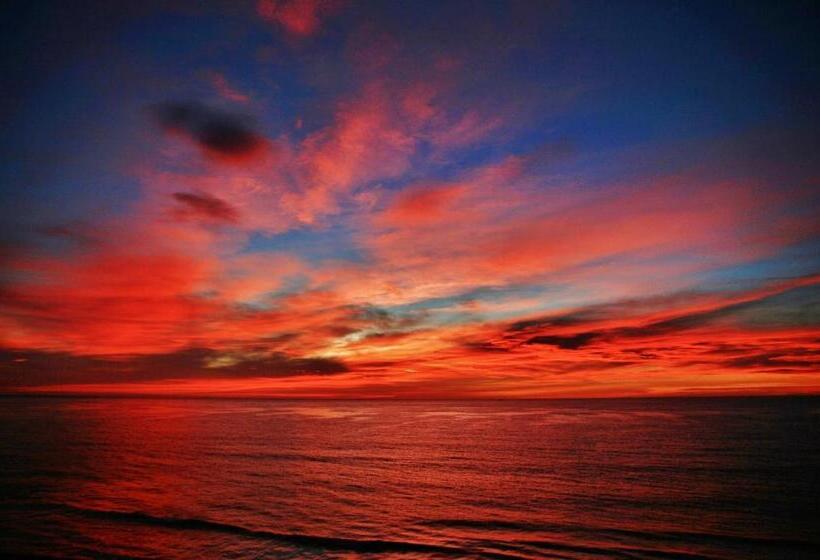 酒店 Badano Sul Mare