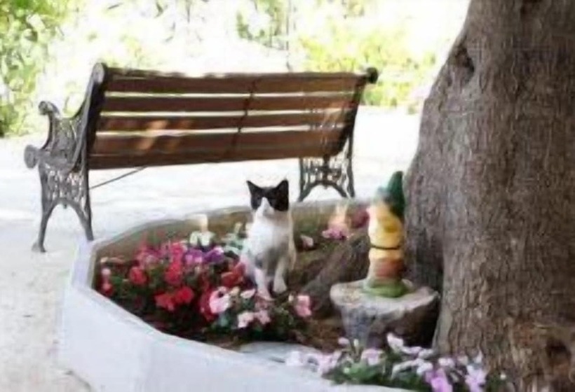 בית מלון כפרי B&b Casa Mariangi