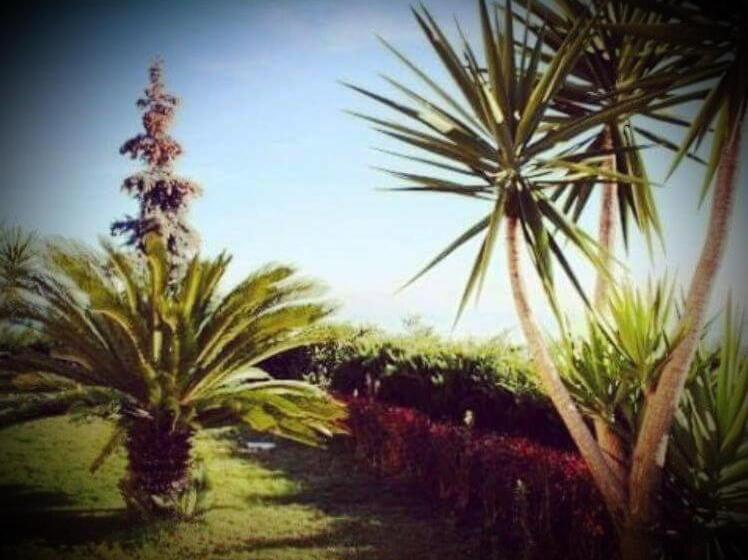 호텔 B&b Villa Floriana