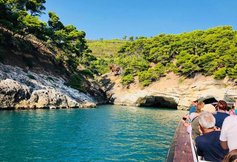 ホテル Belvedere Home