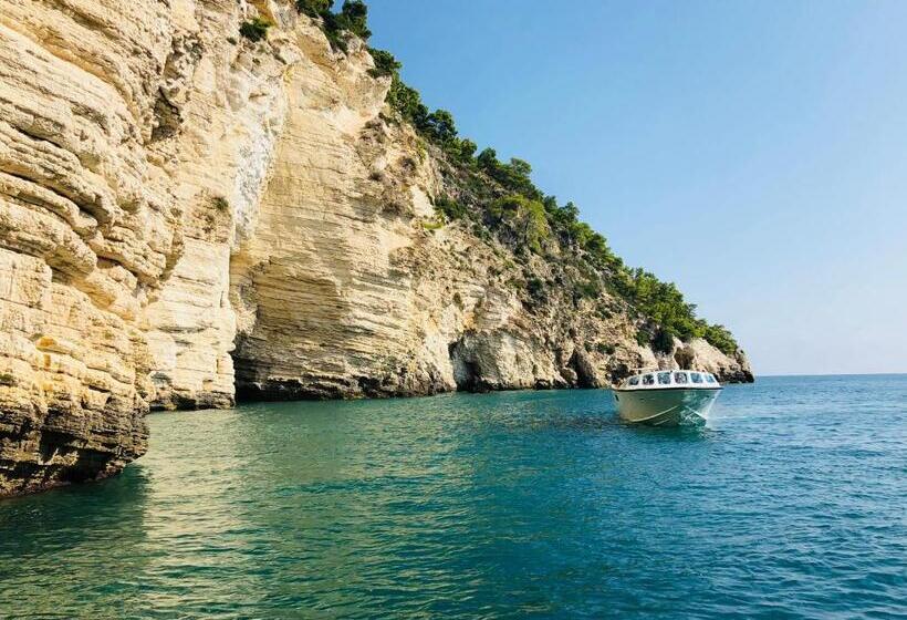 ホテル Belvedere Home