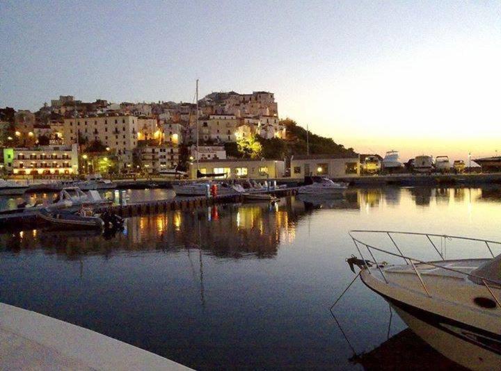 ホテル Belvedere Home