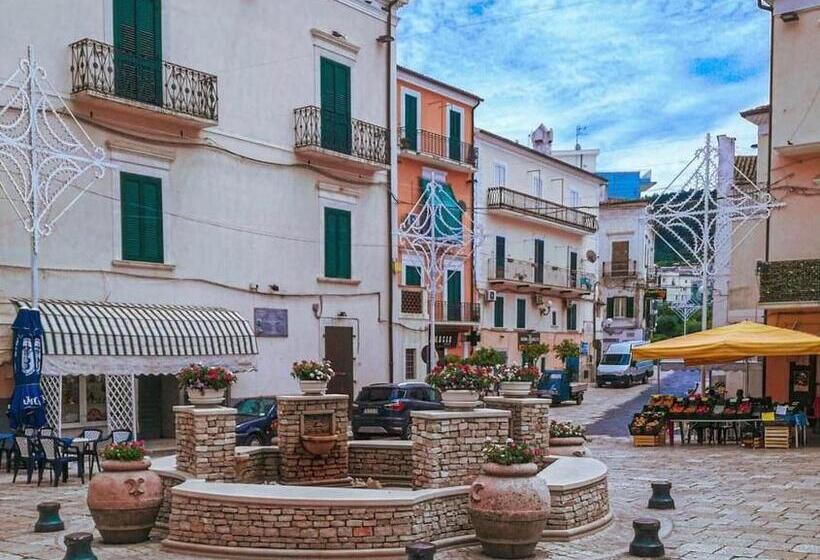 ホテル Belvedere Home