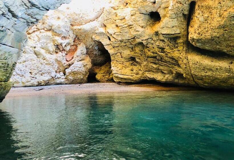 ホテル Belvedere Home