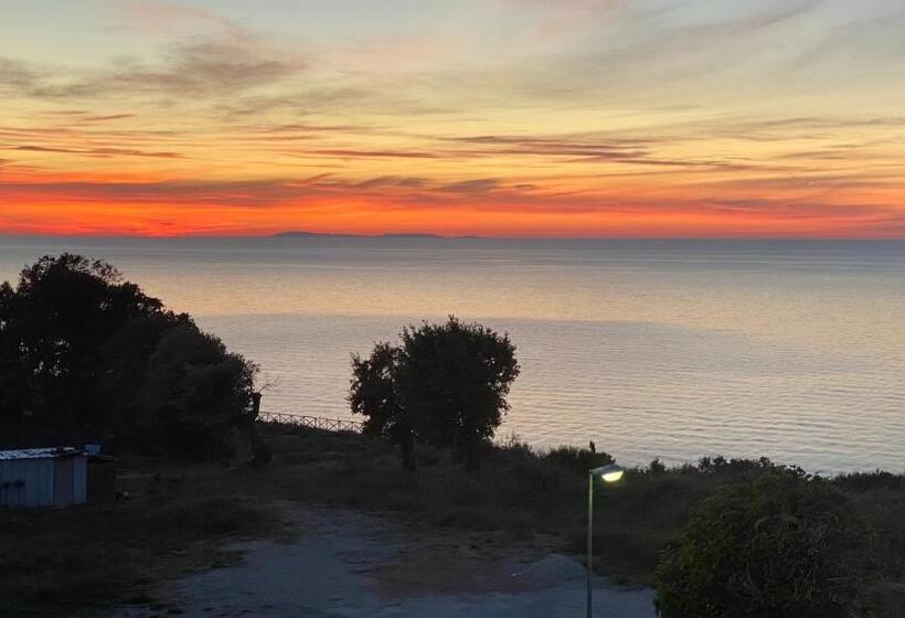 ホテル Belvedere Home