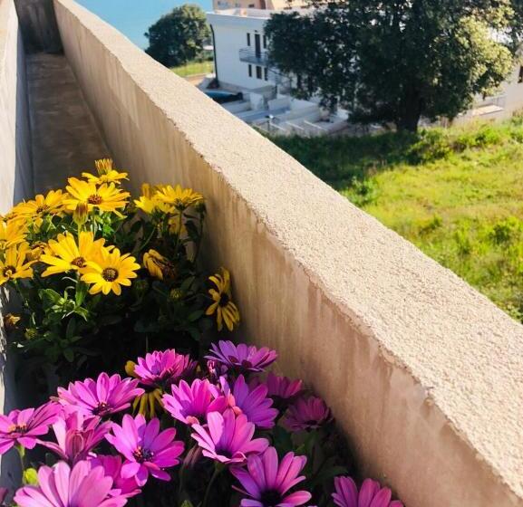 ホテル Belvedere Home