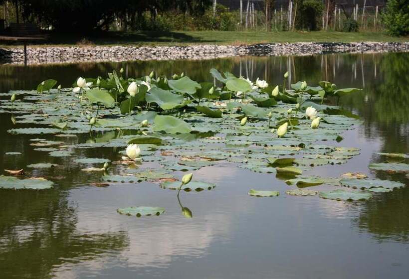 בית מלון כפרי Belvivere Suites