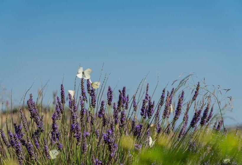 בית מלון כפרי Borgo Alba Barona Turismo Rurale